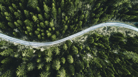 House Views - April 2020: A sudden stop